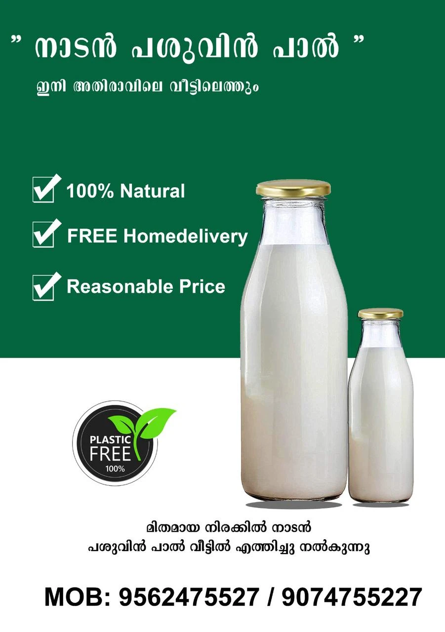 Best digital marketing freelance specialist in malappuram